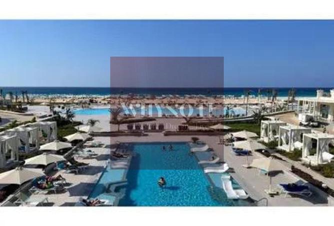 7884571 - Property Image 3