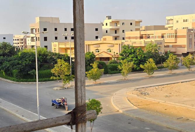7950903 - صورة العقار 2