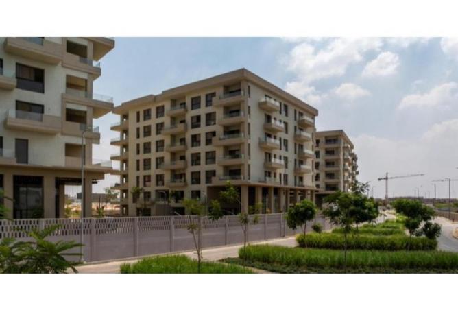 8381890 - Property Image 3