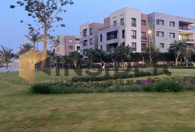 8518305 - Property Image 3