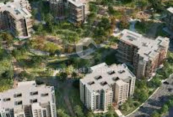 8075104 - Property Image 3