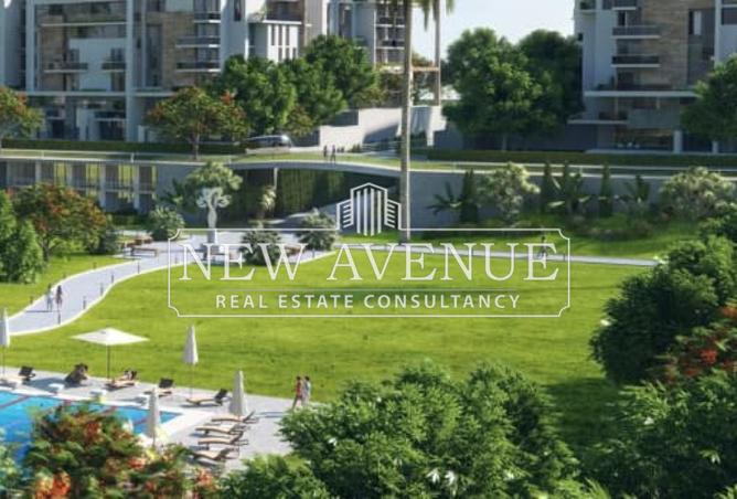 8411904 - Property Image 3