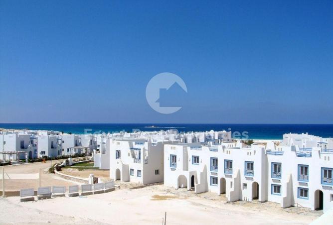 8142546 - Property Image 3