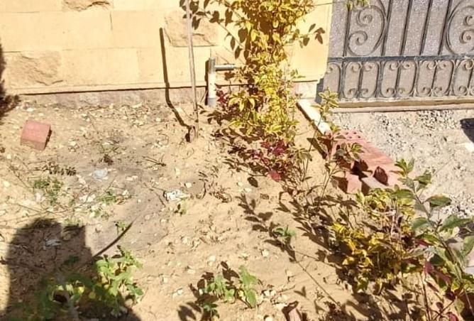 8533710 - صورة العقار 3