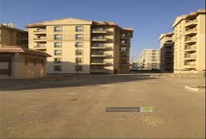 7939738 - Property Image 3