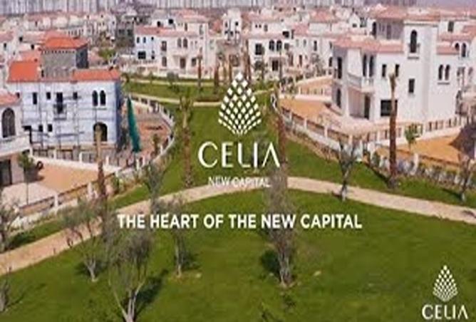 8416232 - Property Image 3