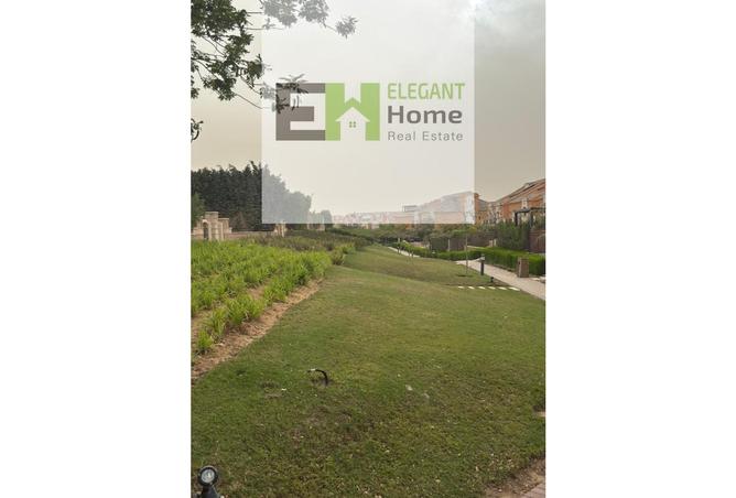 8055361 - Property Image 3