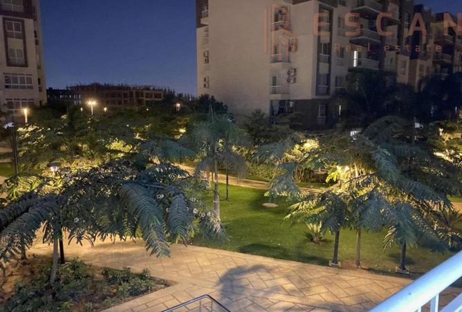 8373223 - Property Image 3