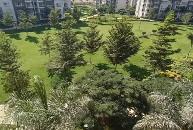 7909721 - صورة العقار 3
