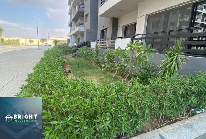 8217506 - صورة العقار 2