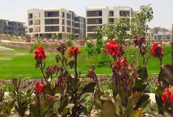 8258026 - الصورة الرئيسية للعقار