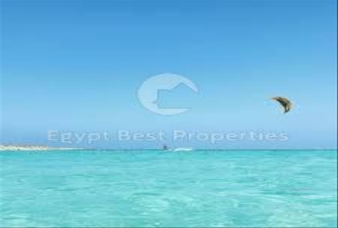 7890998 - Property Image 2