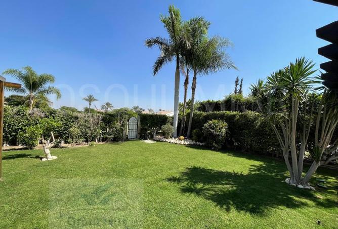 8062526 - Property Image 3