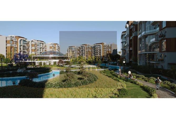 8148429 - Property Image 3