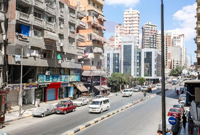 7896174 - صورة العقار 2