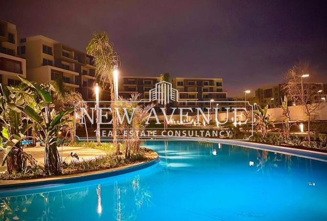 8137235 - Property Image 3