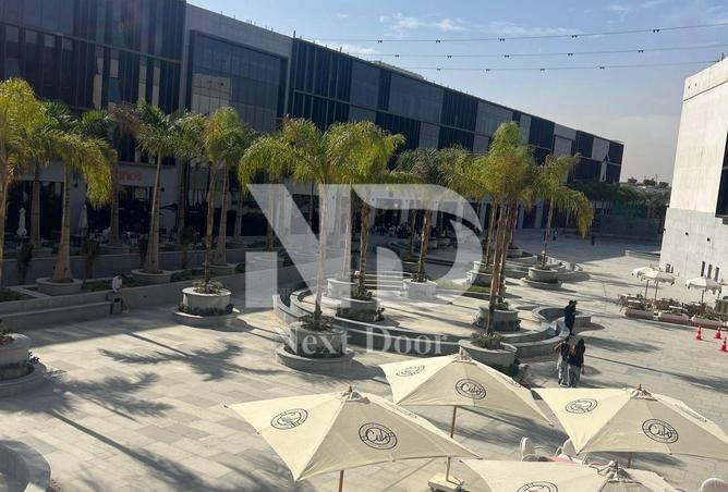 8366353 - Property Image 3