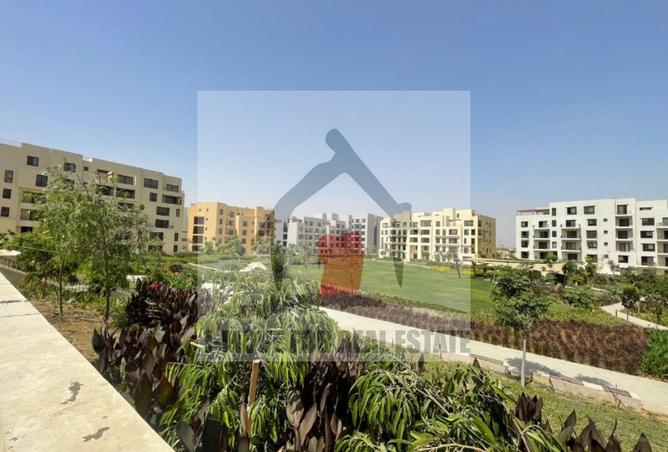 8278170 - صورة العقار 3