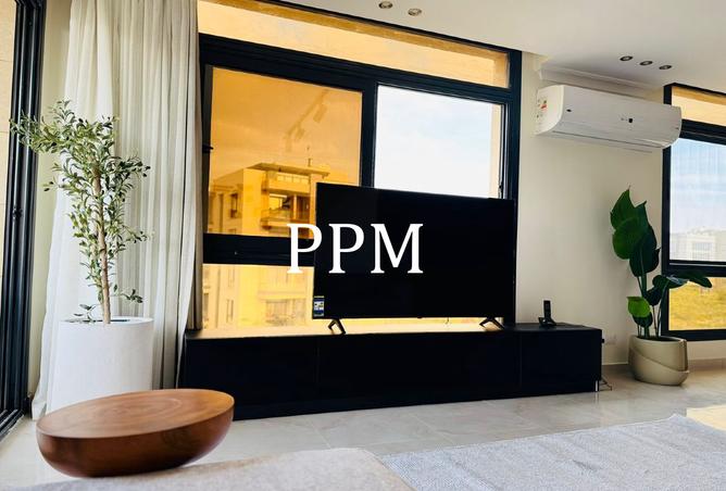 8473029 - Property Image 3