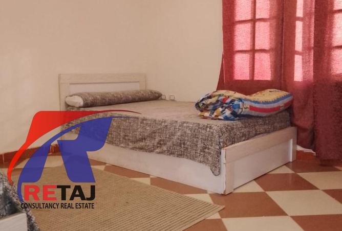 8113171 - Property Image 3