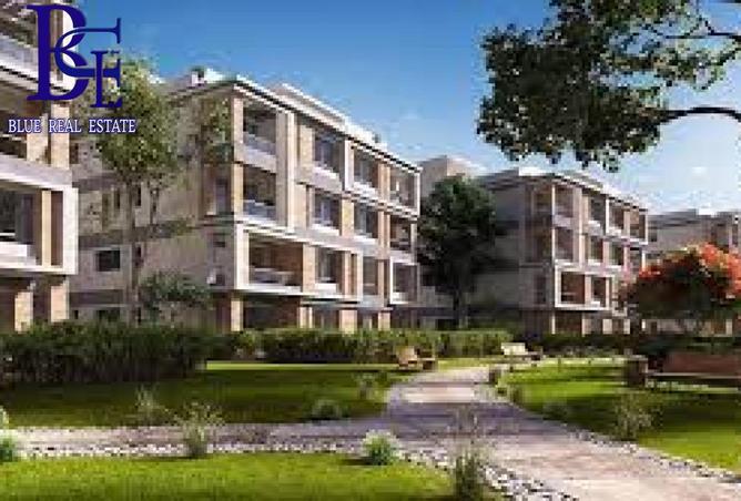 8067372 - Property Image 2
