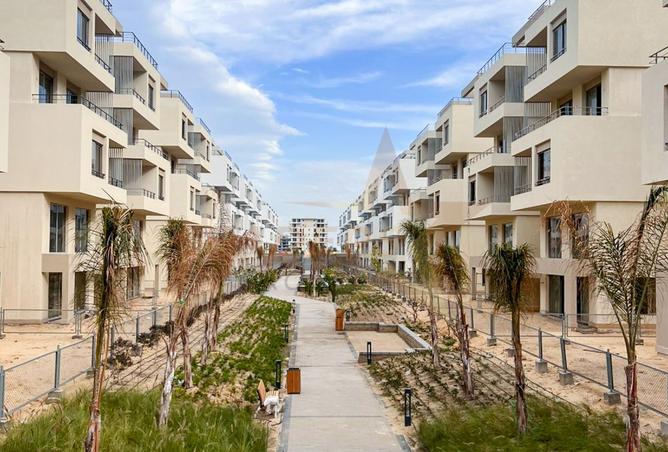 8168339 - صورة العقار 2