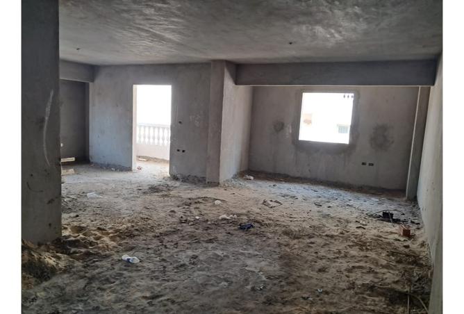 8048601 - Property Image 3
