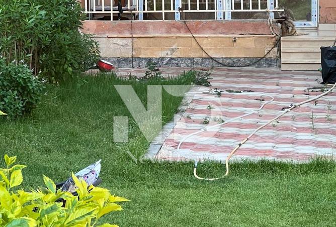 8373264 - صورة العقار 3