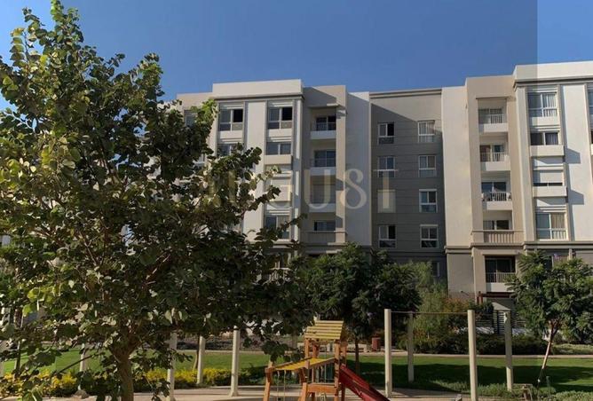 8131883 - Property Image 3