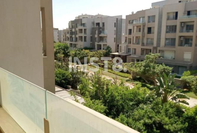 8244246 - Property Image 3