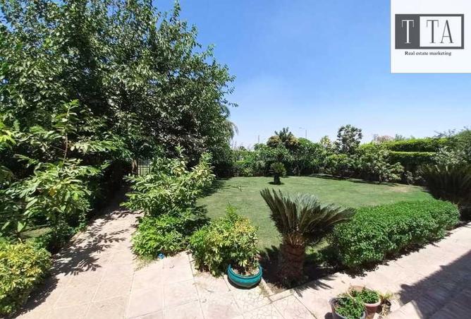 8020604 - Property Image 3