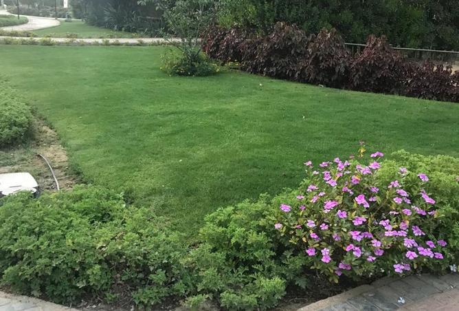 8544401 - الصورة الرئيسية للعقار