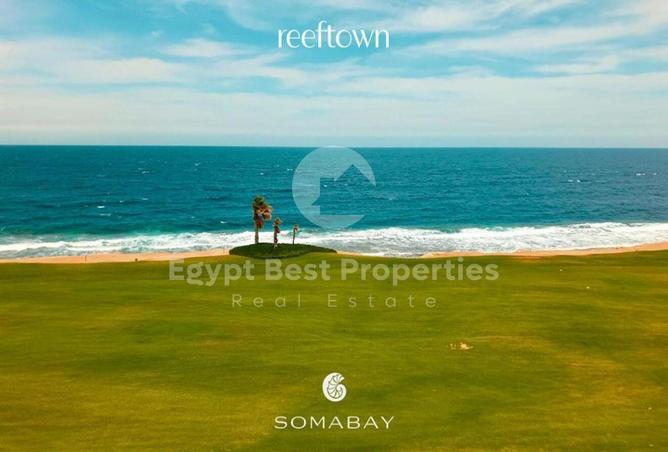 8295386 - Property Image 2