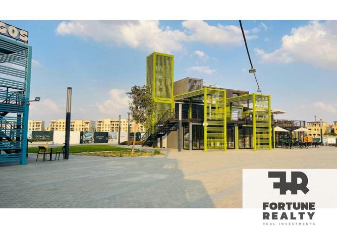 8352358 - Property Image 3