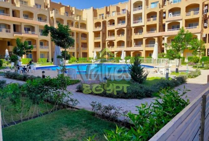 8195256 - Property Image 3