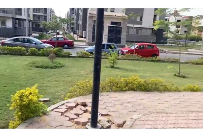 8180727 - Property Image 3