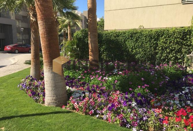 8365693 - Property Image 3