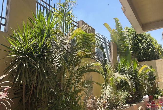 8059443 - صورة العقار 2