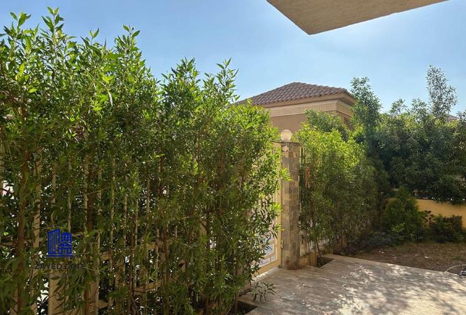 8300037 - الصورة الرئيسية للعقار