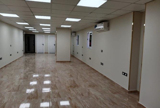 8061393 - Property Image 2