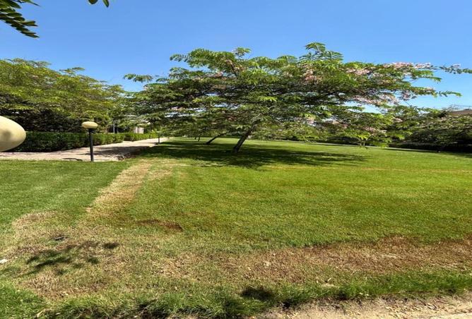 8297515 - صورة العقار 2