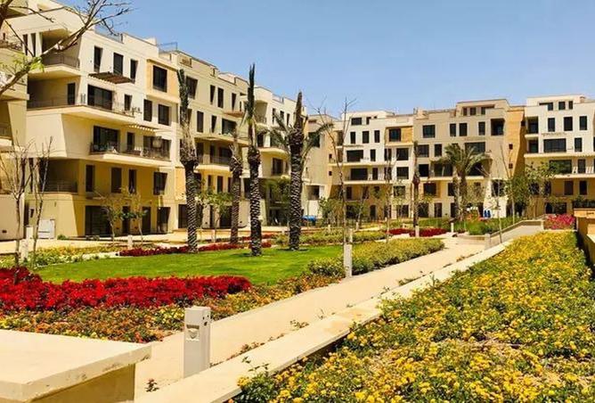 8492823 - Property Image 3