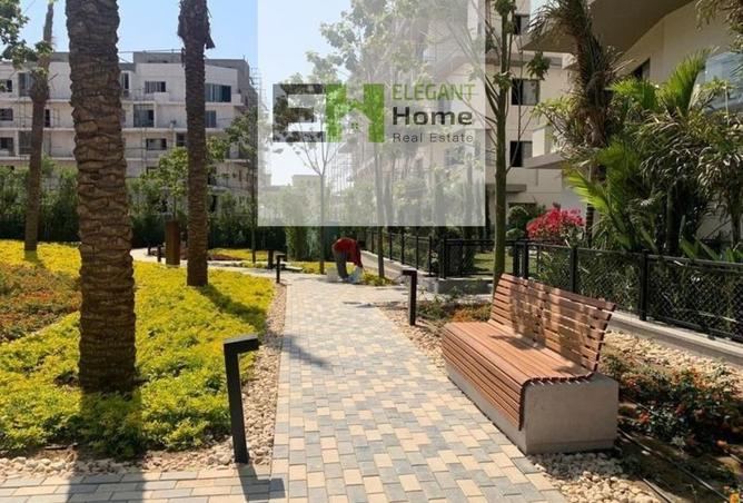 7926415 - صورة العقار 3