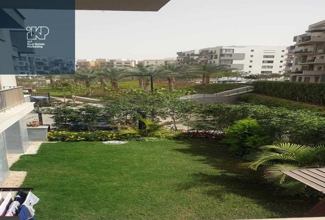 7768037 - Property Image 3