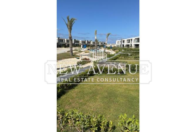 7956225 - صورة العقار 3