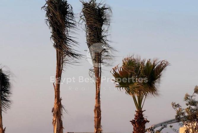 8042175 - صورة العقار 2