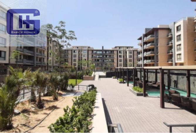 8174278 - Property Image 2