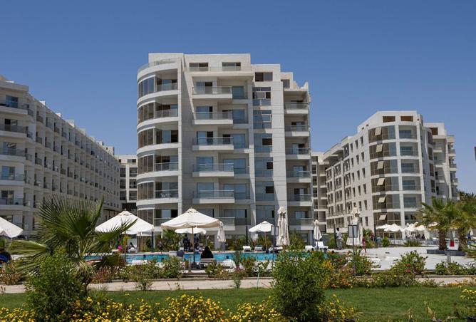 8184304 - صورة العقار 3