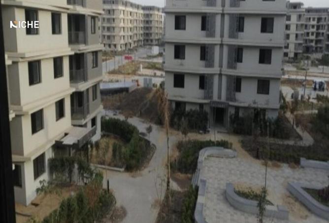 8196442 - Property Image 3