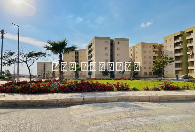 8181694 - الصورة الرئيسية للعقار